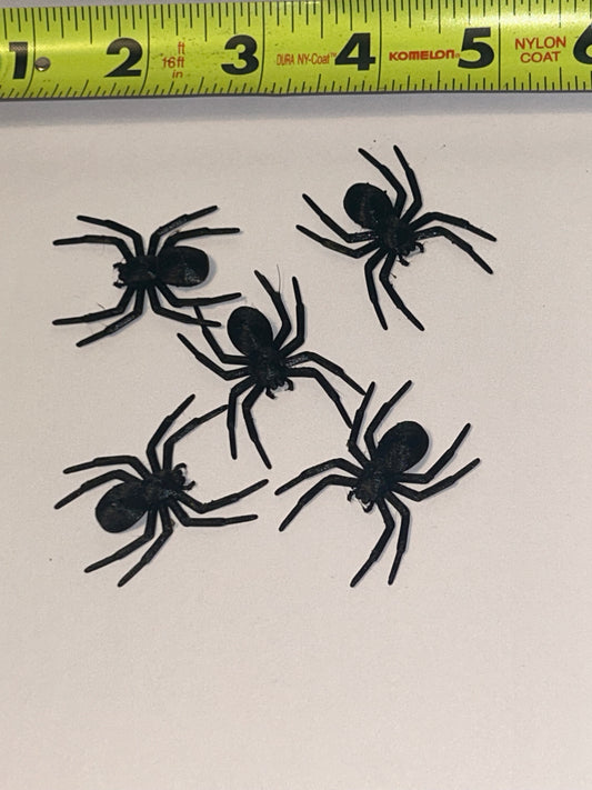 Mini Spiders!!