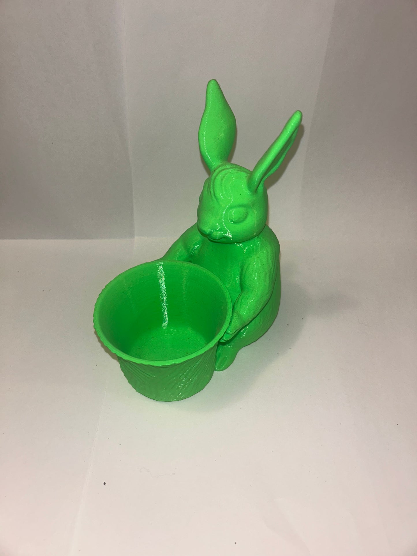 Bunny Rabbit Holding Bowl