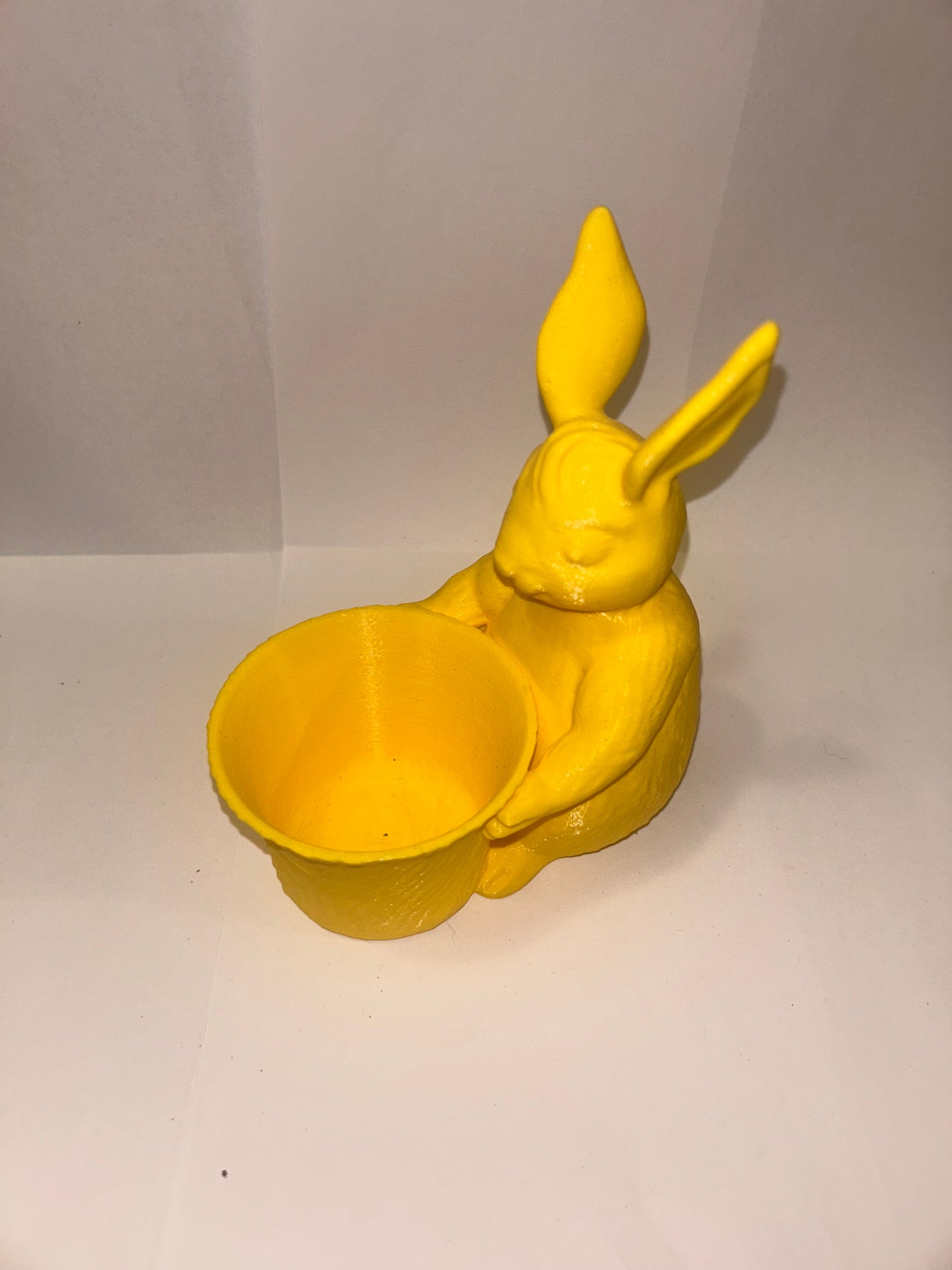 Bunny Rabbit Holding Bowl